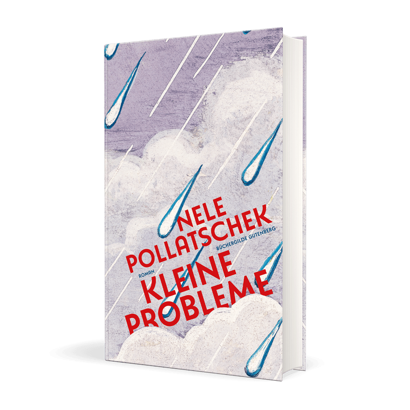 17524X_Pollatschek_Probleme_3D_01.png