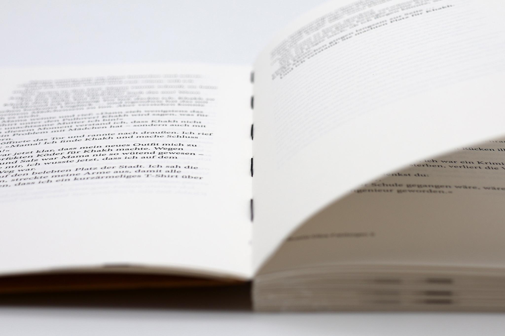 17765X_Diba_HalbeBuch_BA_05.jpg