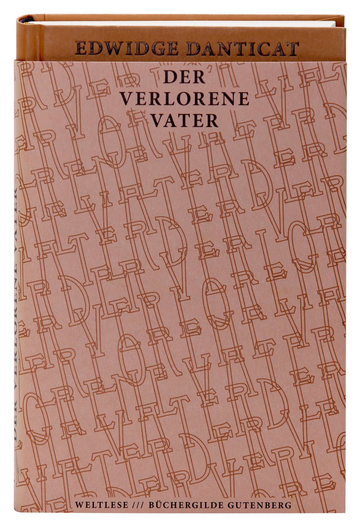 163500_Danticat_Der verlorene Vater_3D_01.jpg