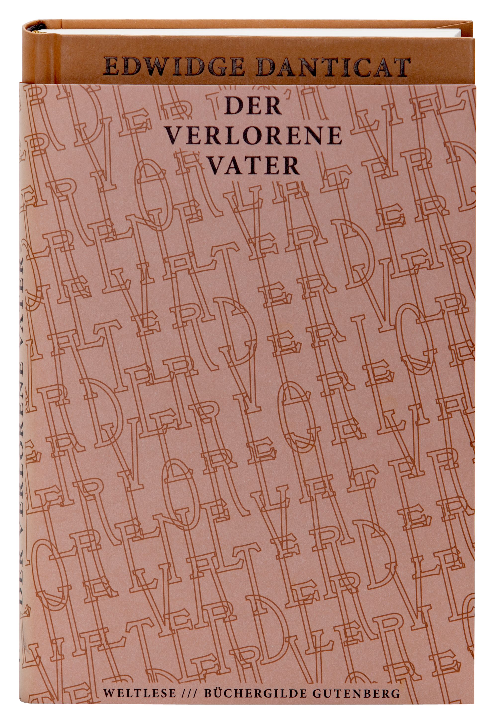 163500_Danticat_Der verlorene Vater_3D_01.jpg