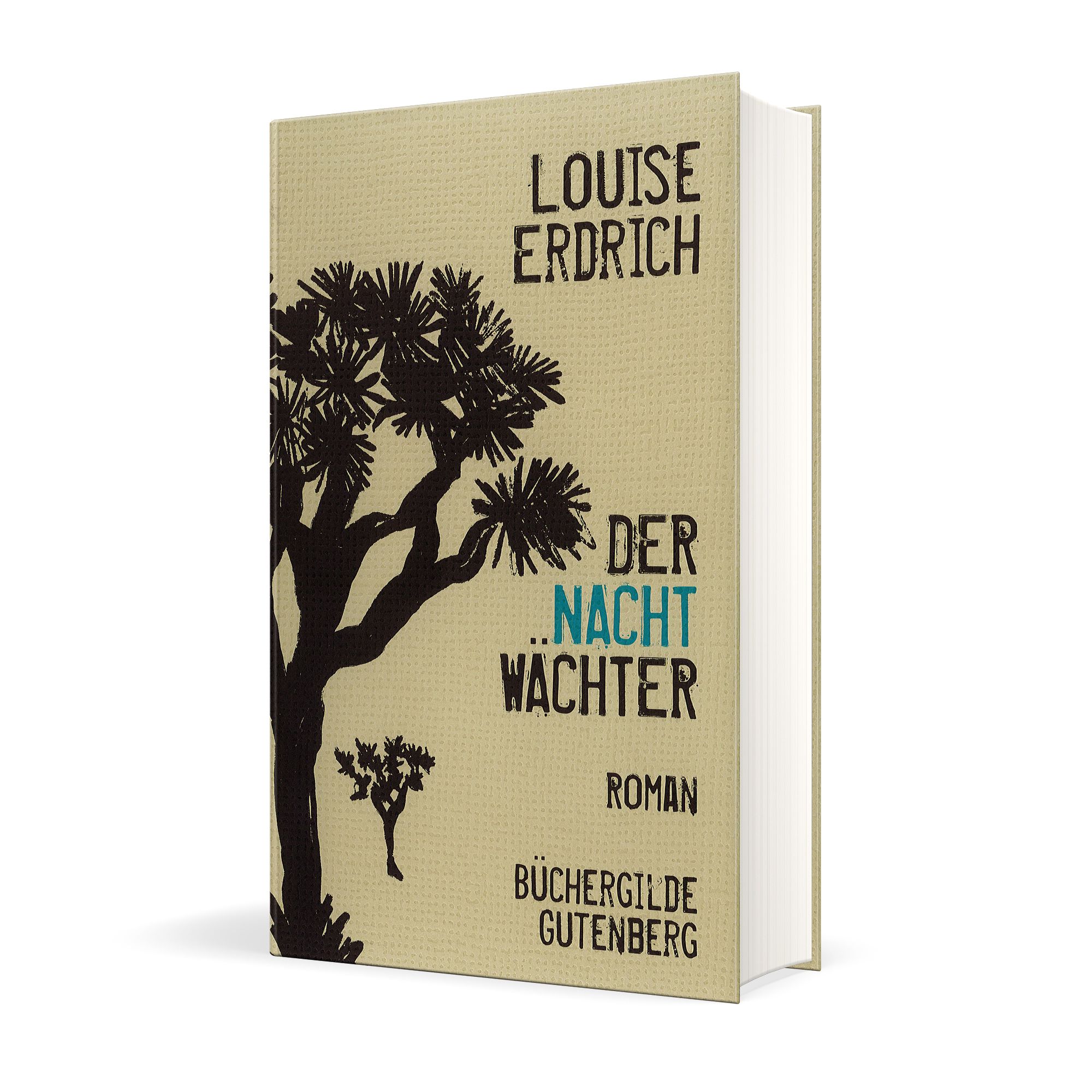 173883_Erdrich_Nachtwaechter_3D_01.jpg