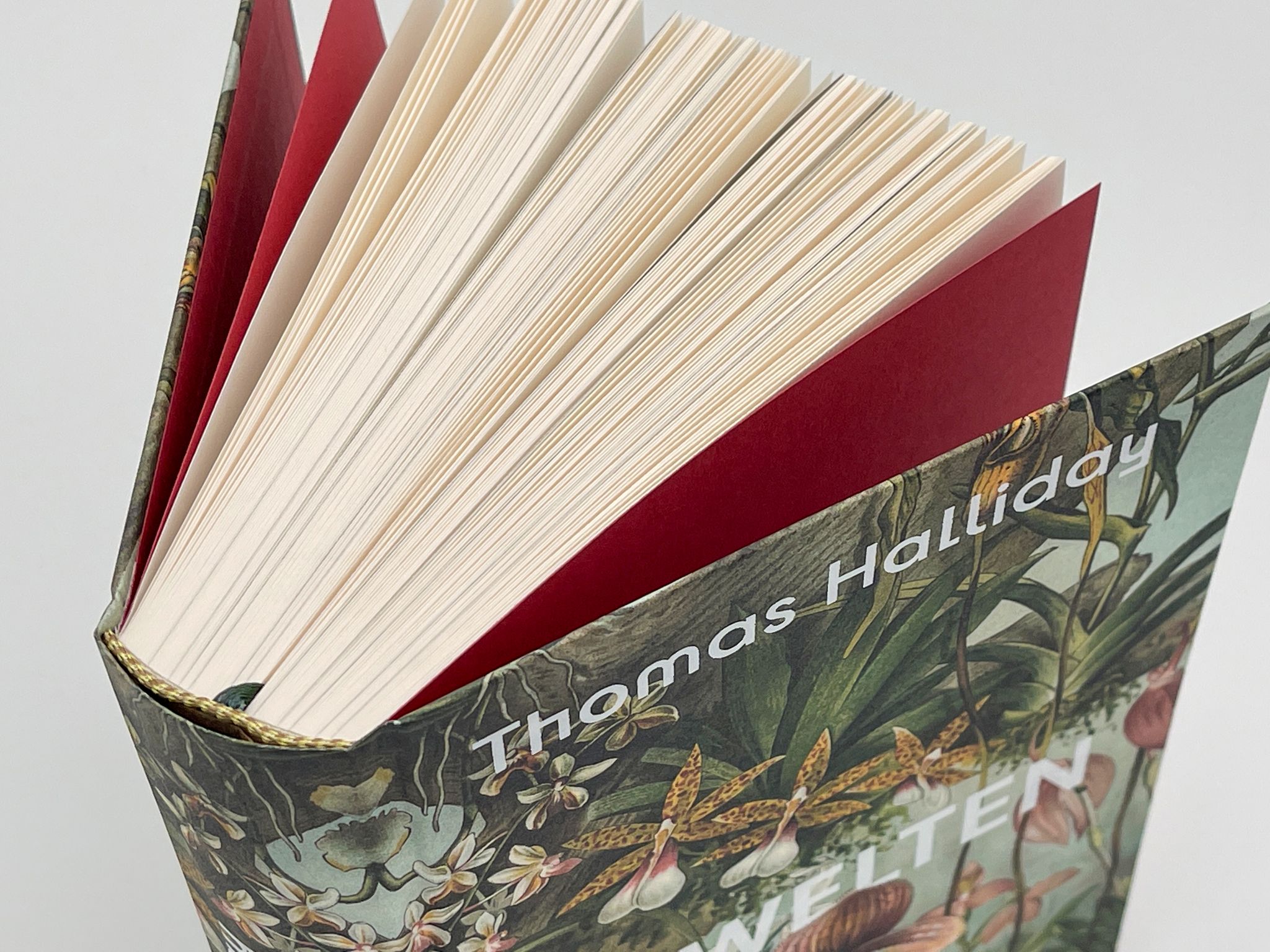 174448_Halliday_Urwelten_BA_04.jpg