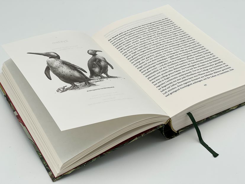174448_Halliday_Urwelten_BA_07.jpg