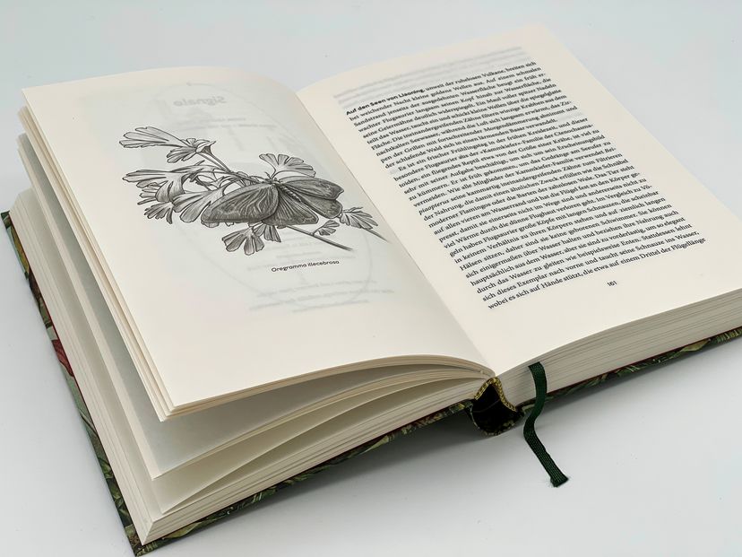 174448_Halliday_Urwelten_BA_08.jpg