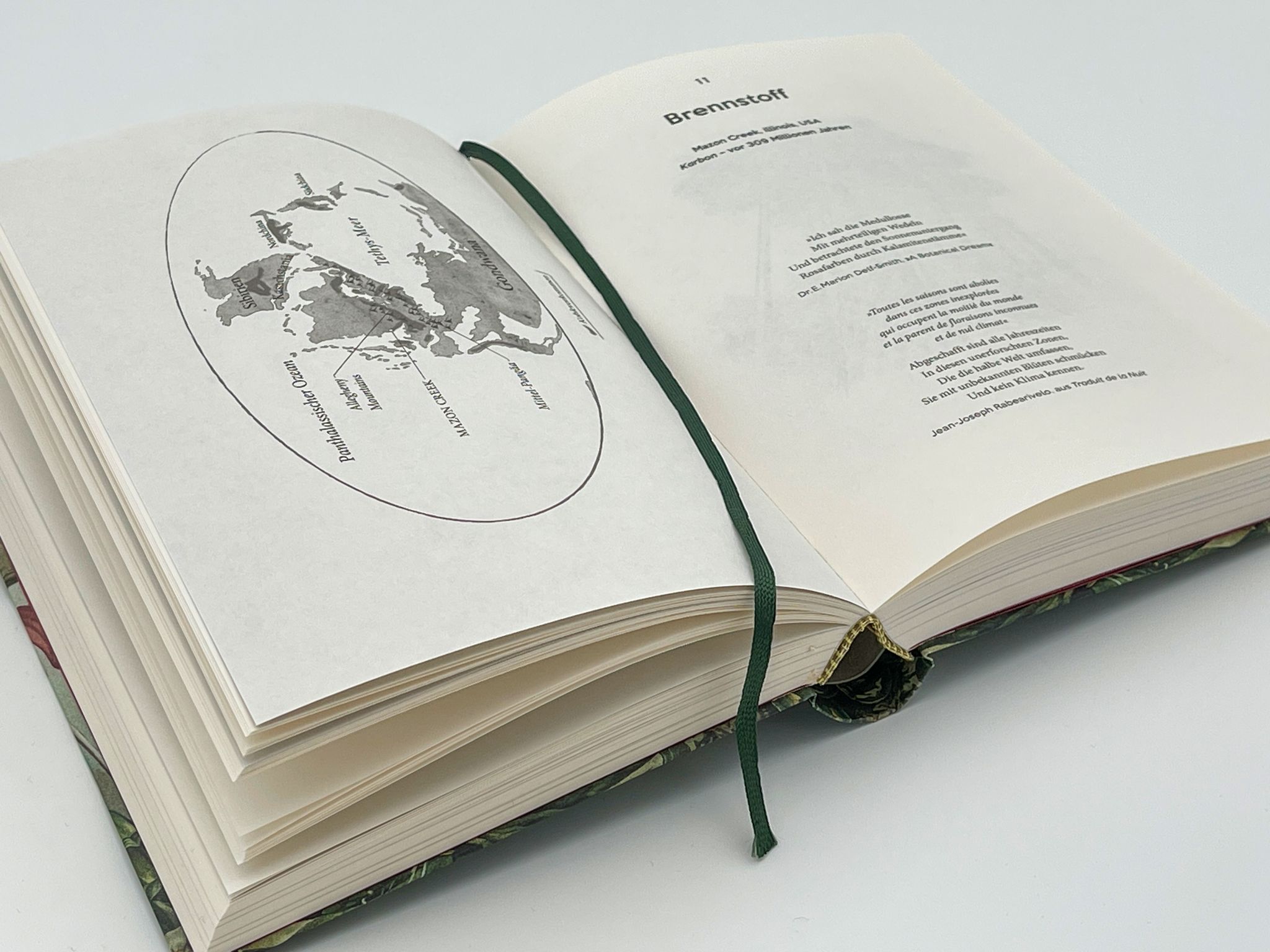 174448_Halliday_Urwelten_BA_11.jpg