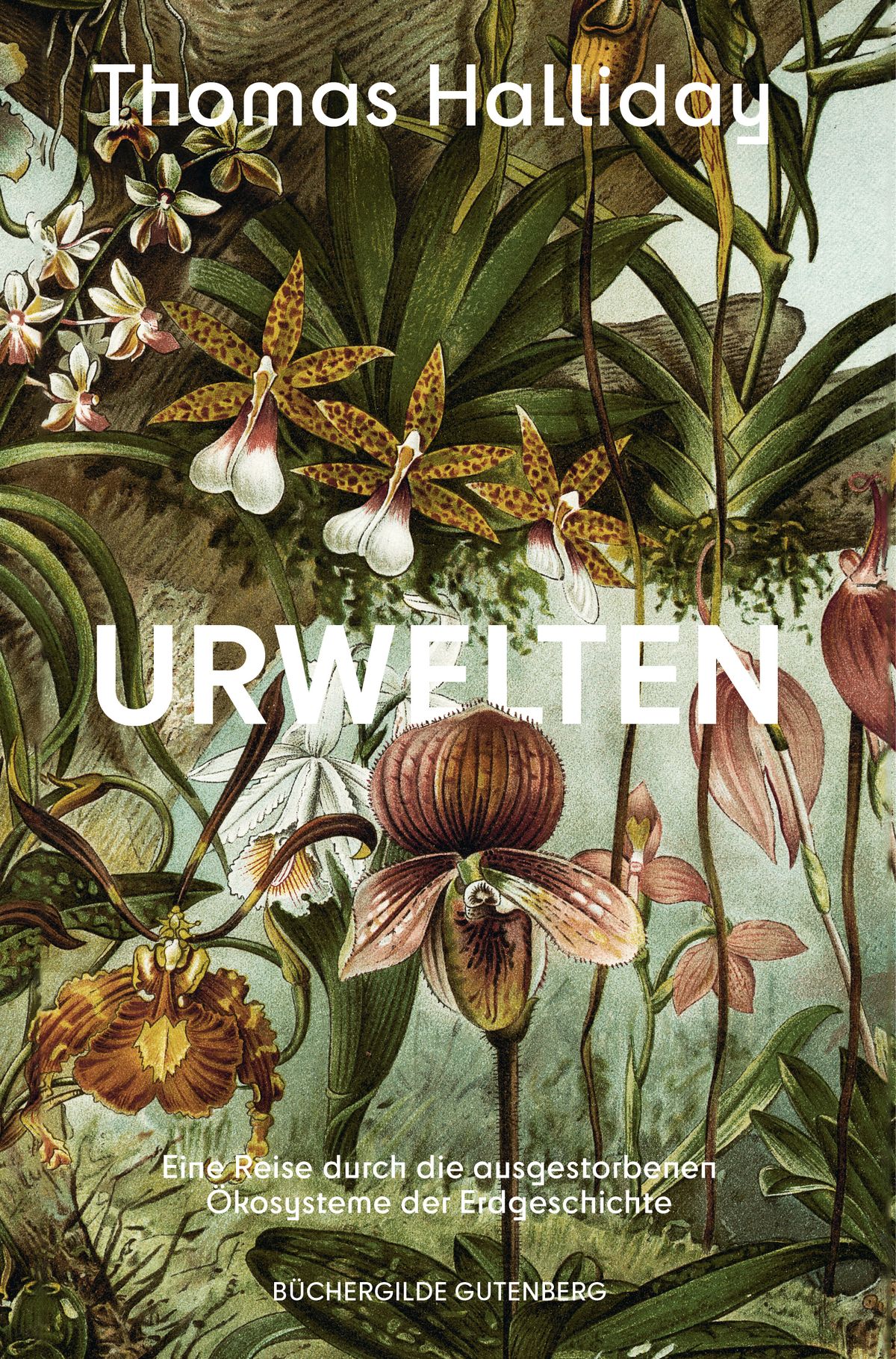 174448_Halliday_Urwelten_3D_01.jpg