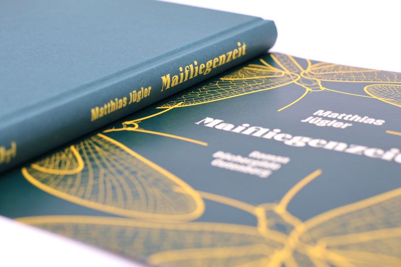 175754_Juegler_Maifliegenzeit_BA_03.jpg