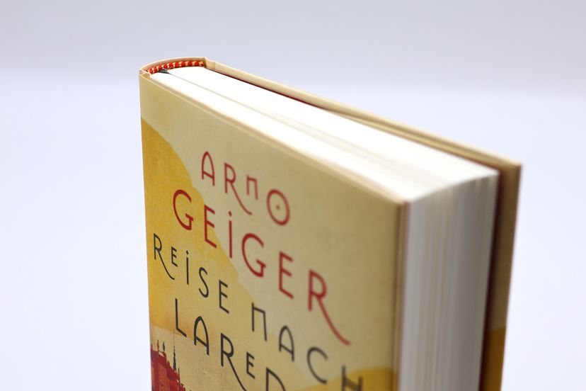 175916_Geiger_Reise_BA_09.jpg