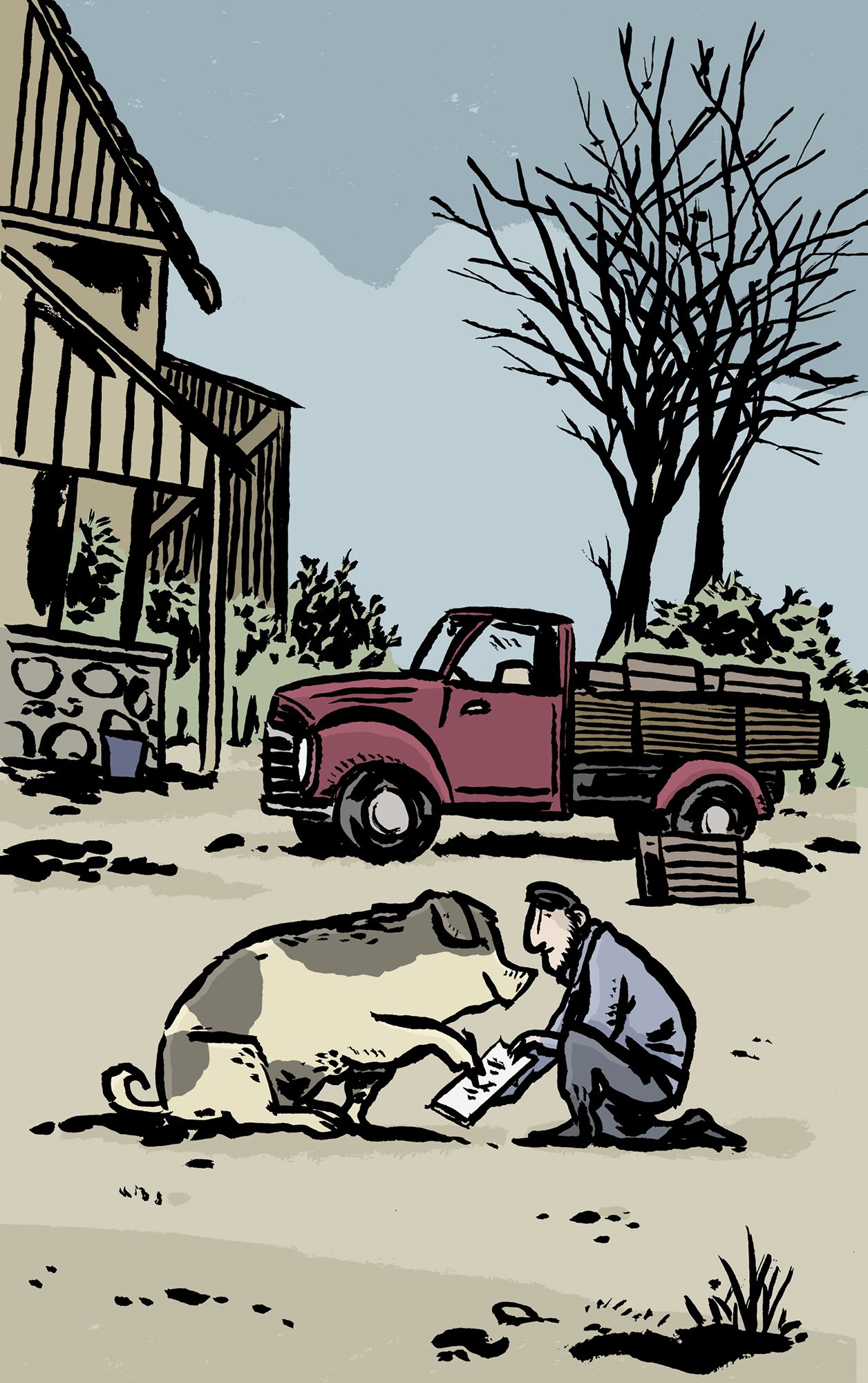 176246_Orwell_FarmDerTiere_IL_02.jpg