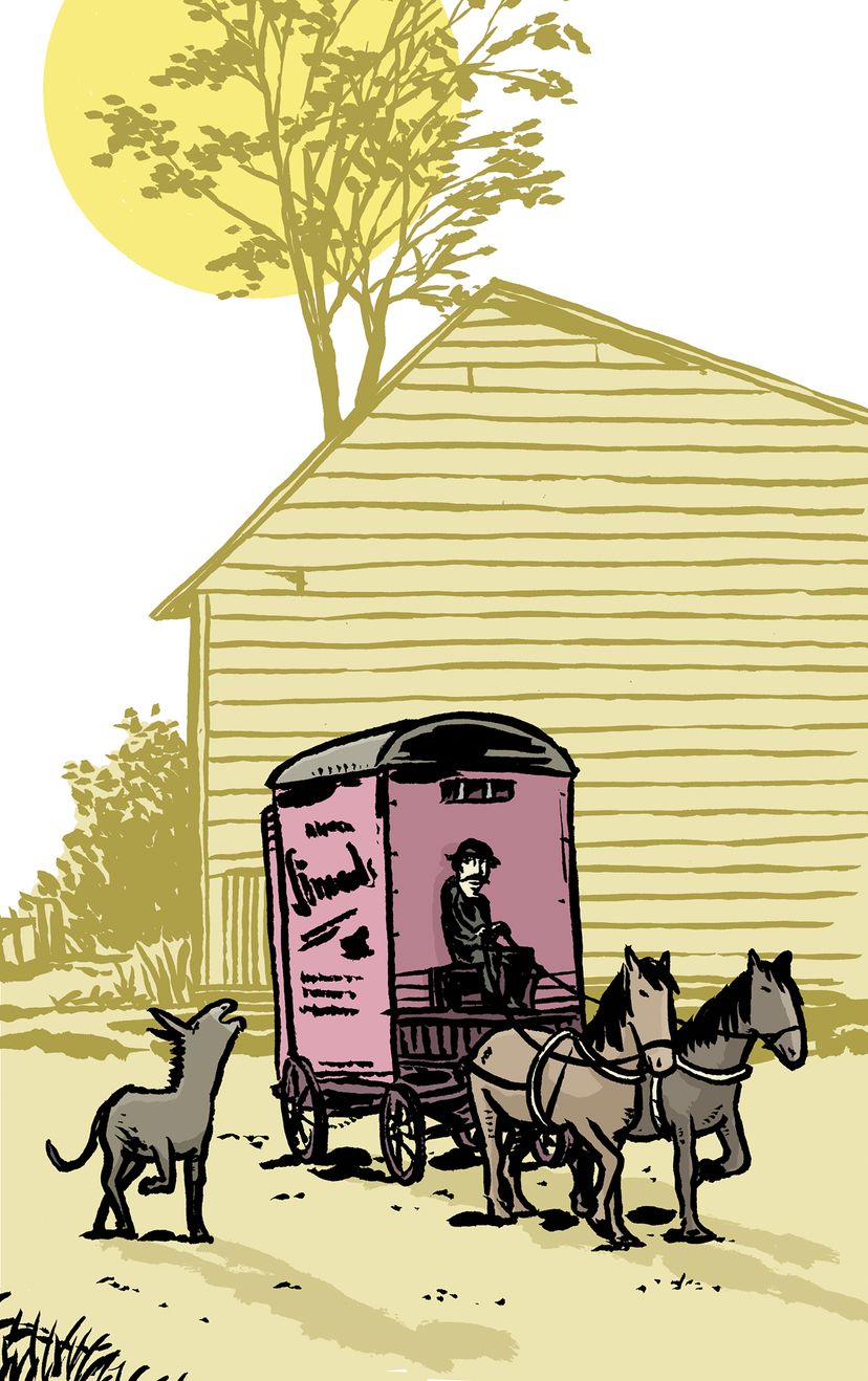 176246_Orwell_FarmDerTiere_IL_04.jpg