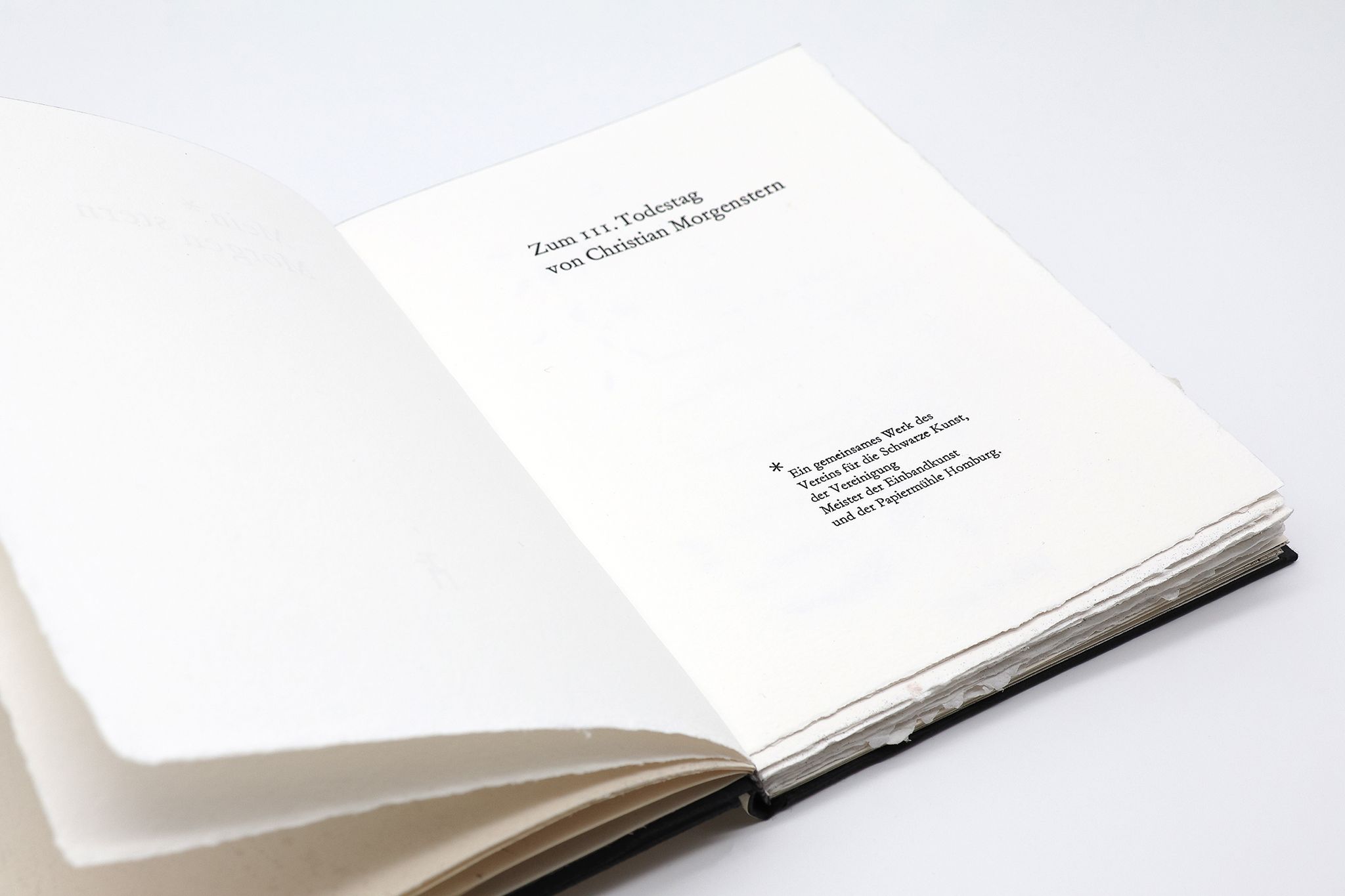 176459_VereinMDE_Morgenstern-12_BM_08.jpg