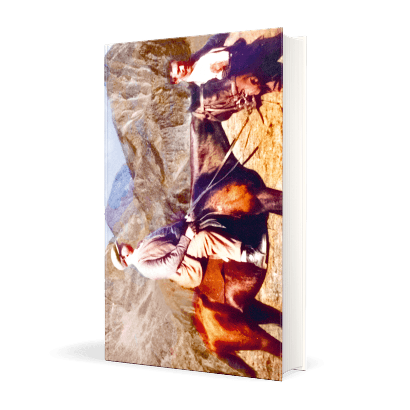 176661_Tucholsky_Pyrenaeenbuch_3D_01.png
