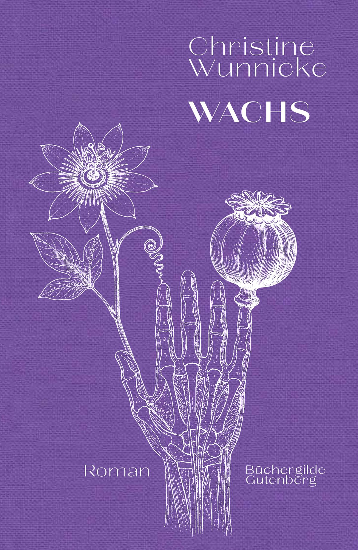 176793_Wunnicke_Wachs_FR_01.jpg