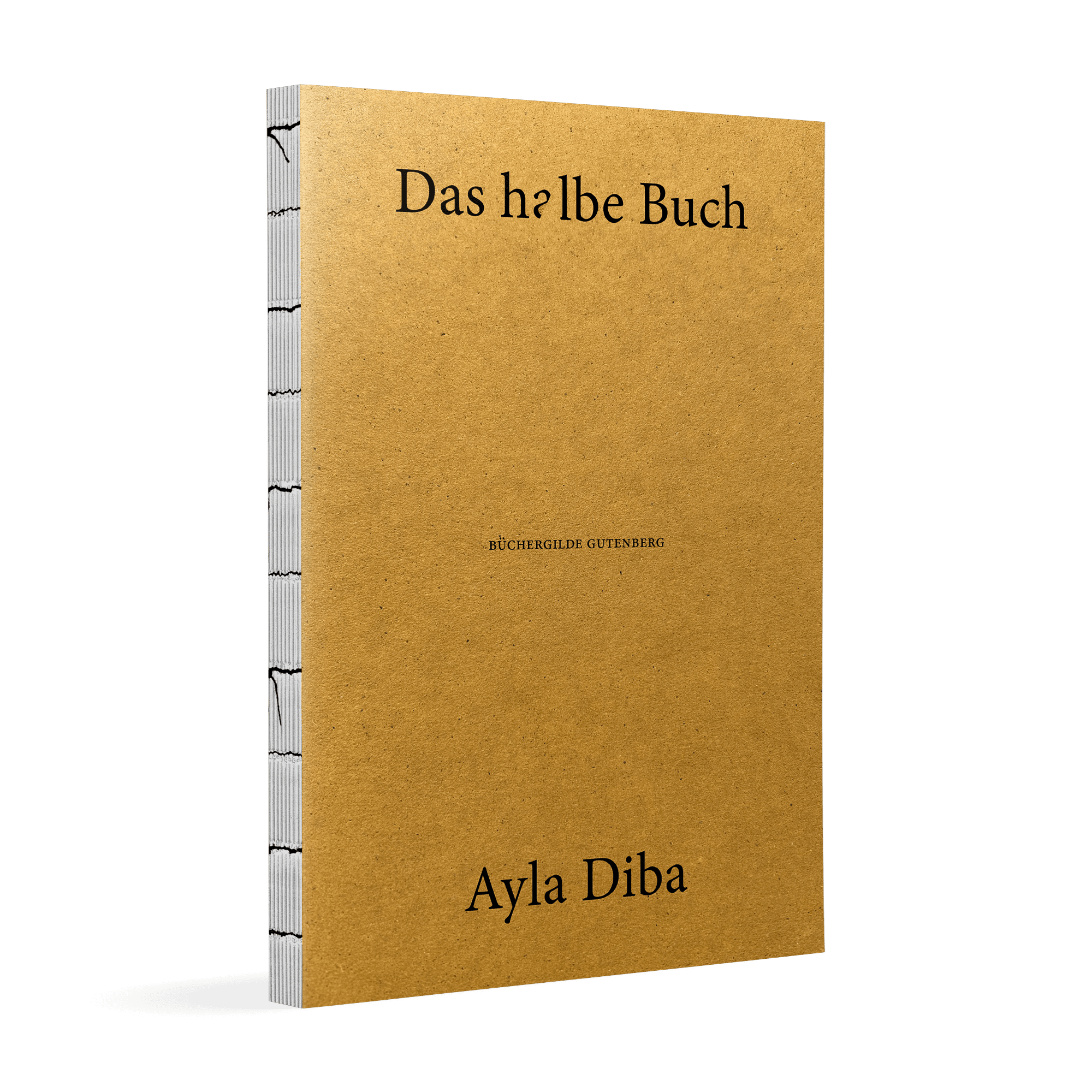 17765X_Diba_HalbeBuch_3D_01.png
