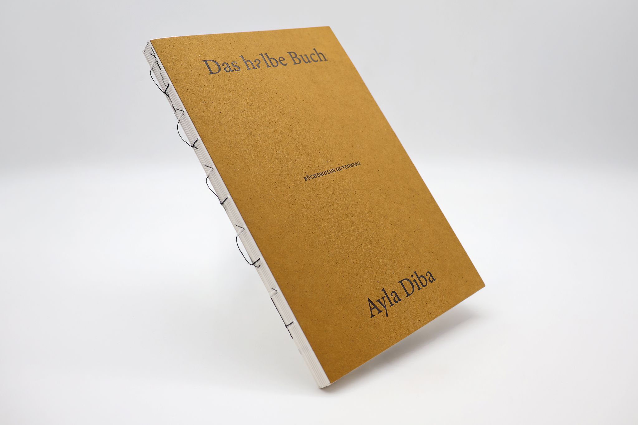 17765X_Diba_HalbeBuch_BA_07.jpg