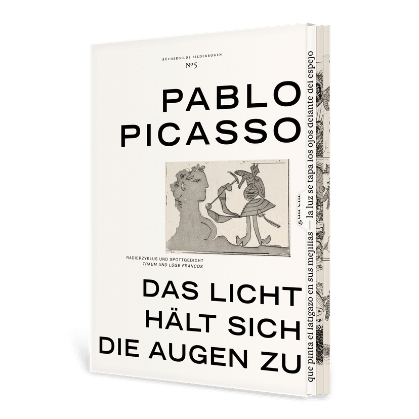 304857_BB5_Picasso_Licht_3D_02.png