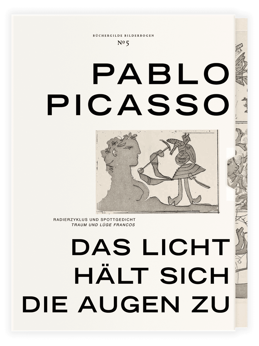 304857_BB5_Picasso_Licht_FR_03.png