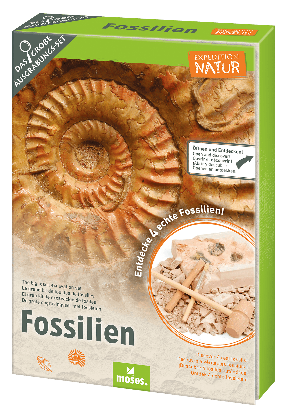 308410_Fossilien-Set_BM_01.jpg