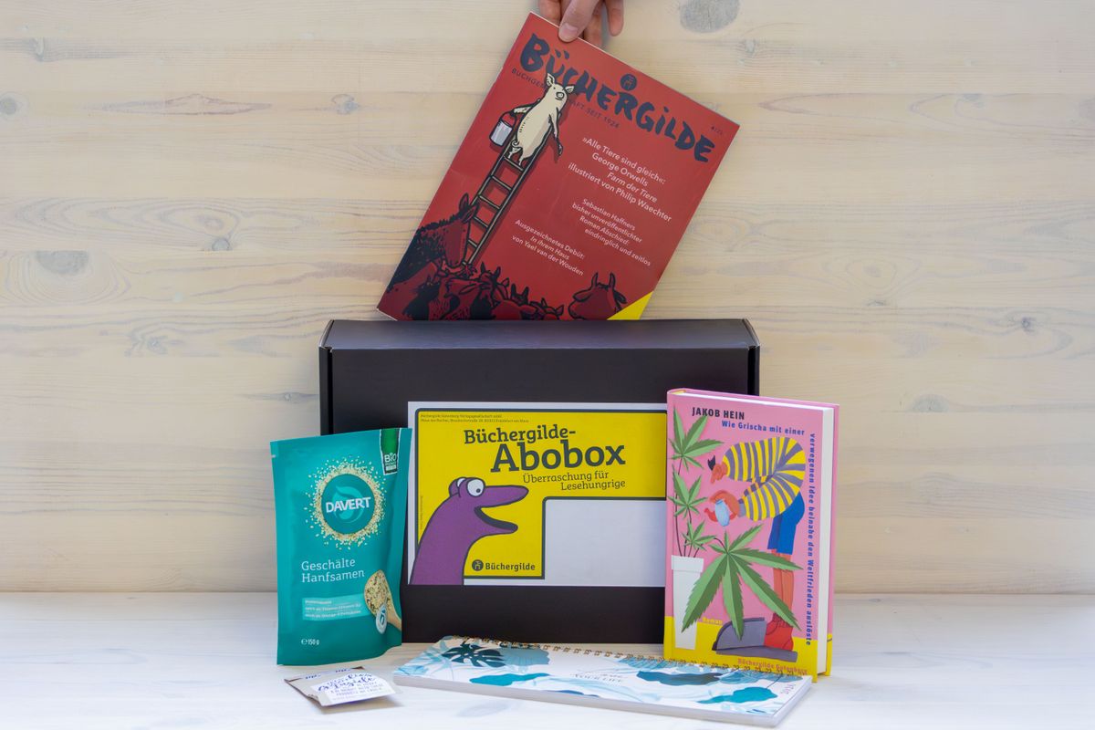 30931X_Abobox_Hein_BM_01.jpg