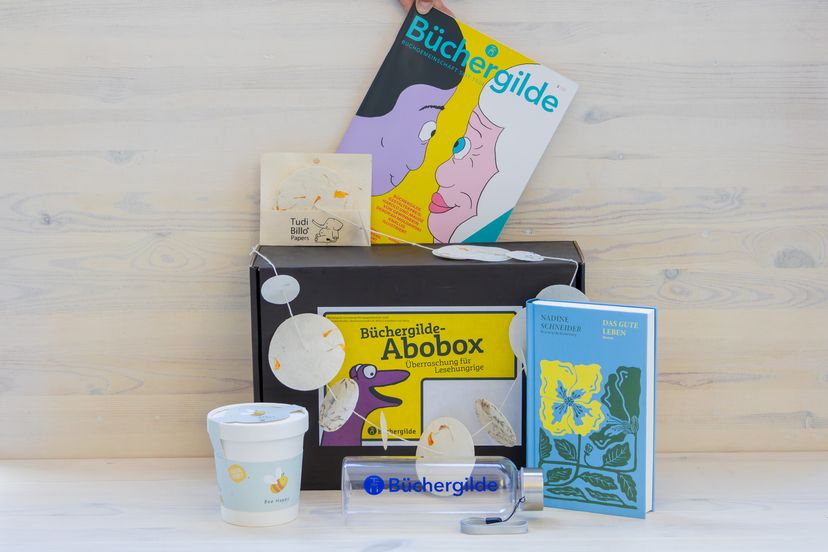 309395_Abobox_Schneider_FR_01.jpg