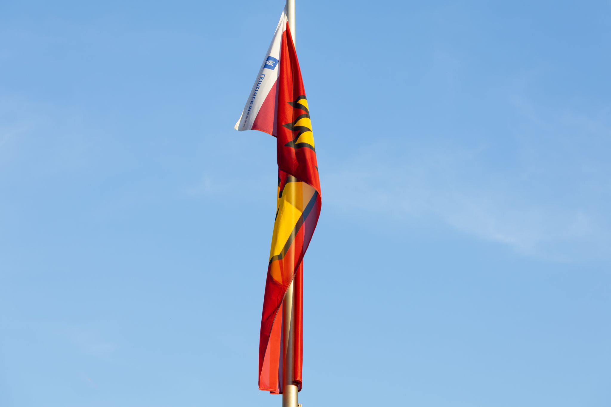 IMG_9635.jpg